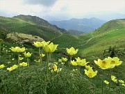 Laghi di Ponteranica ad anello dai Piani d'Avaro (15giu21)